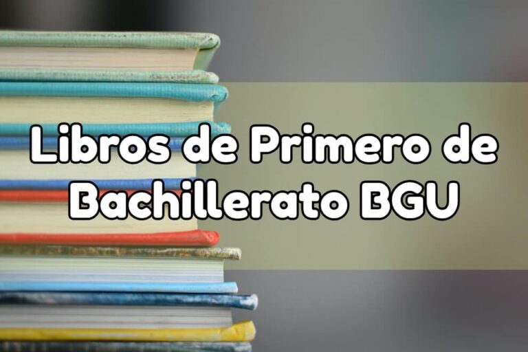 Descargar PDF Libros de PRIMERO DE BACHILLERATO del Ministerio de Educación Ecuador 2023