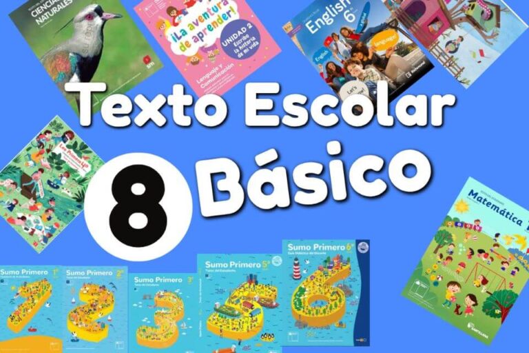 Textos Escolares de 8º BÁSICO del Ministerio de Educación de Chile 2024 – Descargar PDF